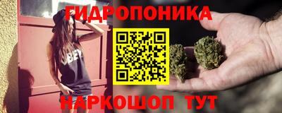 твердый Кингисепп