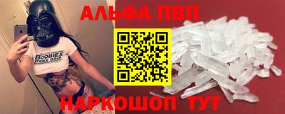 твердый Кингисепп