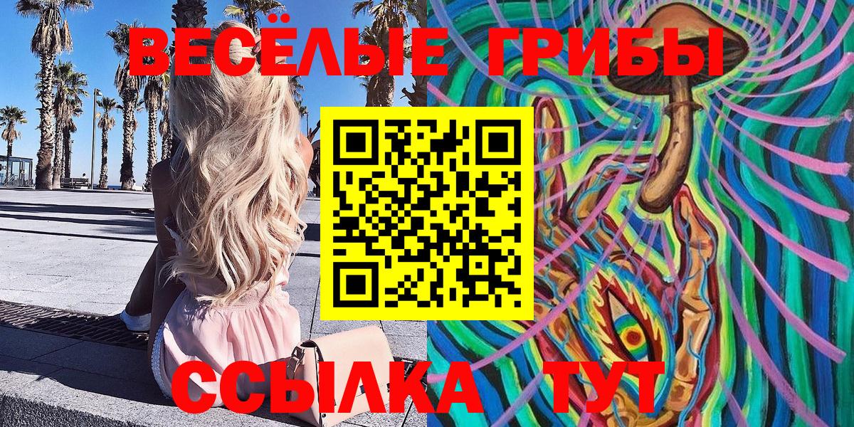 Псилоцибиновые грибы мухоморы  Вход с VPN  Киселёвск 